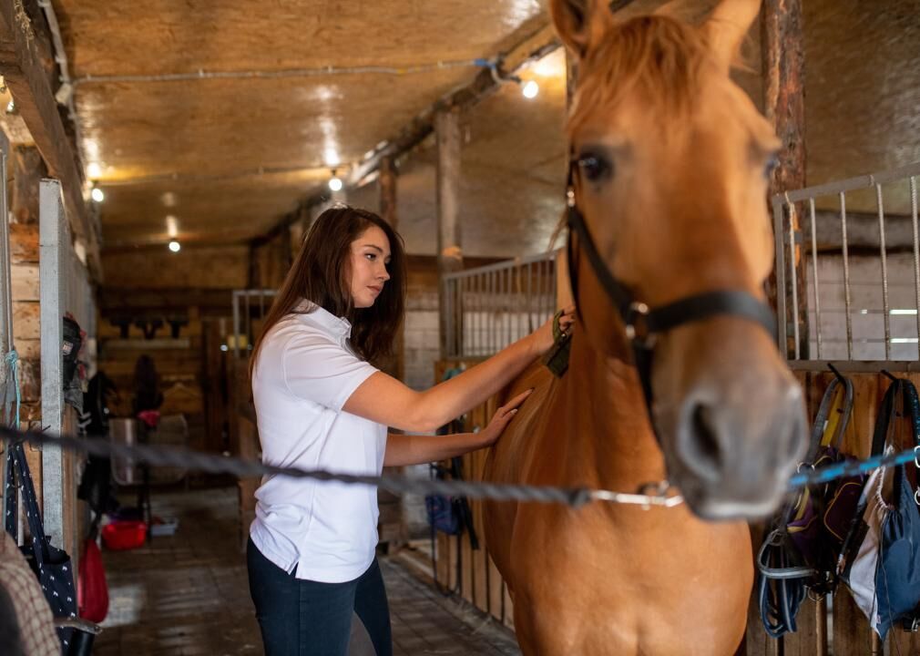 #44. Animal caretakers